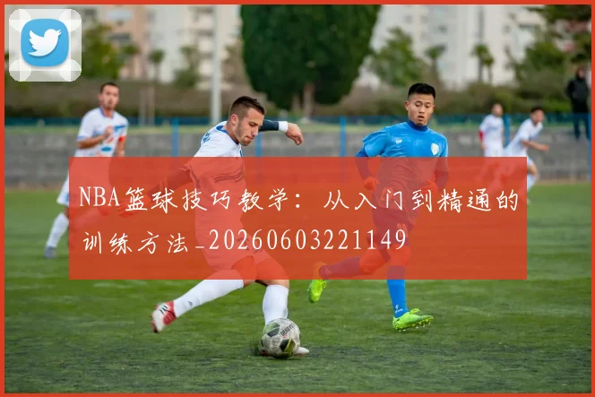NBA篮球技巧教学:从入门到精通的训练方法_20260603221149