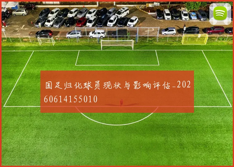 国足归化球员现状与影响评估_20260614155010